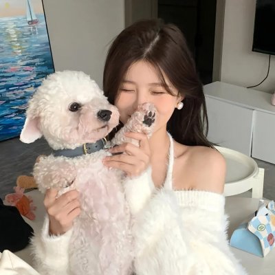 随风追寻